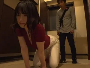 獻給所有日本愛好者：多毛超大內射 - 完整 1 小時日本成人電影